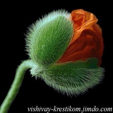 Схема вышивки «№901441»