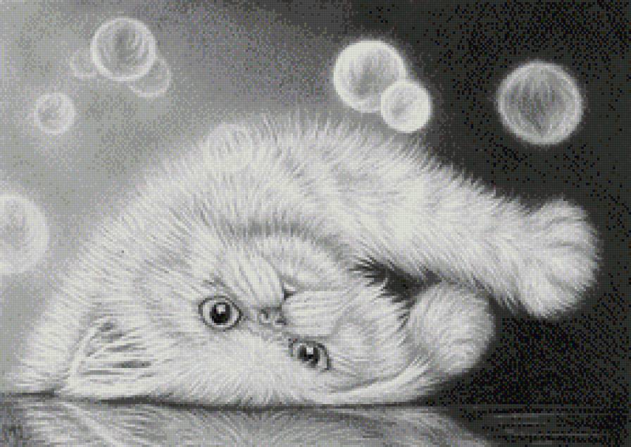 котенок - котик, котенок - предпросмотр