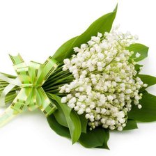 Схема вышивки «серия "ландыши"»