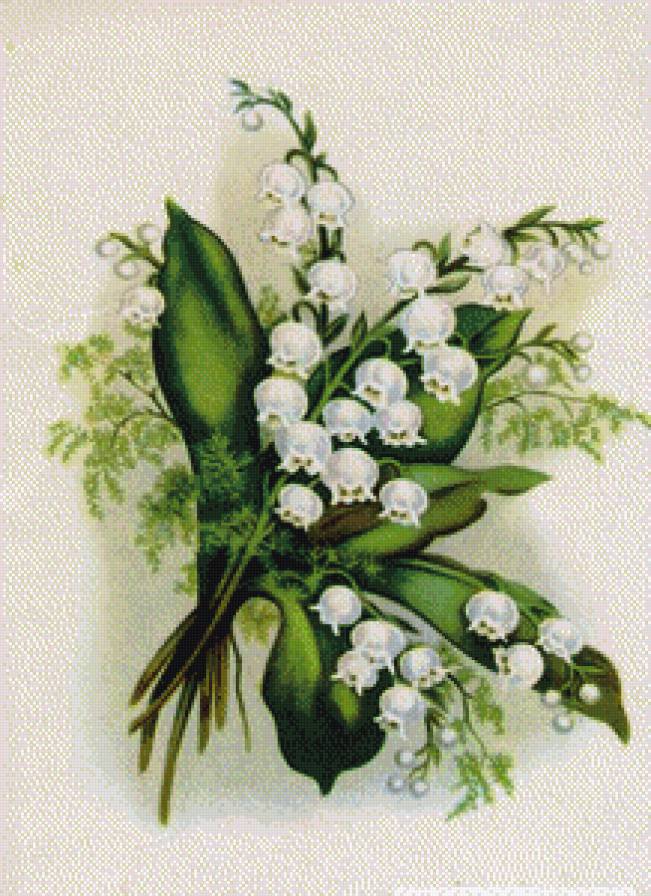 серия "ландыши" - цветы.ландыши. - предпросмотр