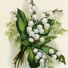 Схема вышивки «серия "ландыши"»