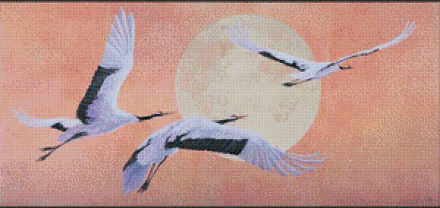 Дальний путь - природа, птицы - предпросмотр