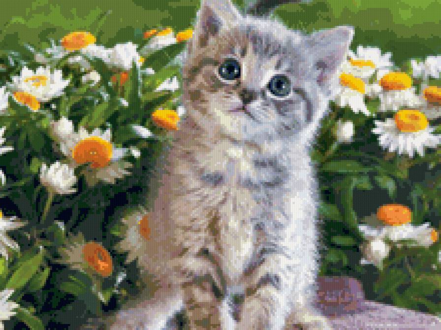 чудо голубогалзое - котята, животные - предпросмотр