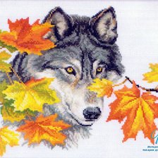 Схема вышивки «волк»