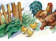 Схема вышивки «Куриная Семейка»