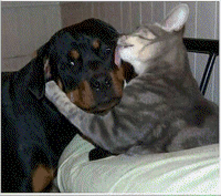 лапушки - кузя, норик - предпросмотр