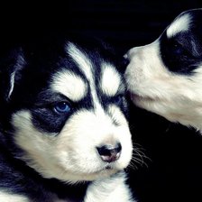 Схема вышивки «№902571»