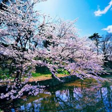 Схема вышивки «№902574»