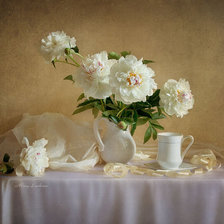 Белые пионы