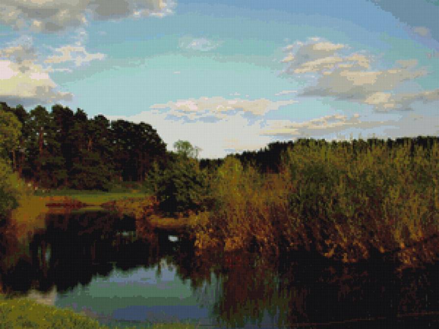 Речка - лес, природа. речка, пейзаж - предпросмотр