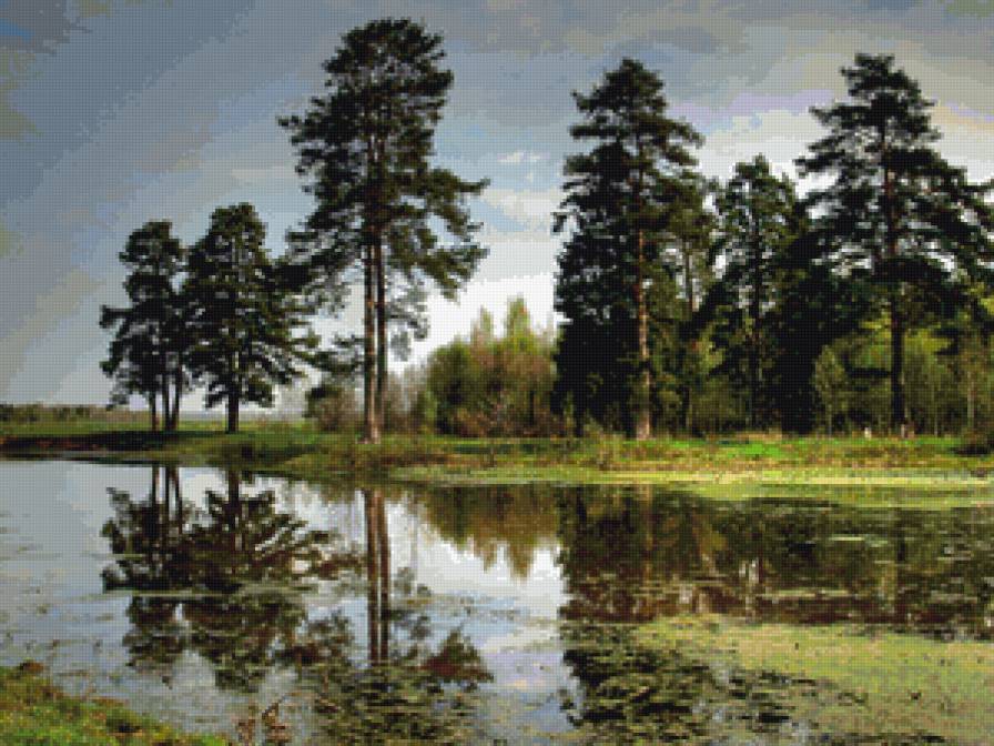 Перед дождем - сосны, пейзаж, природа, хмурое небо, река - предпросмотр