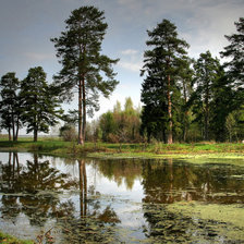 Схема вышивки «Перед дождем»
