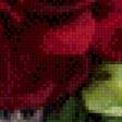 Предпросмотр схемы вышивки «Розы» (№902811)