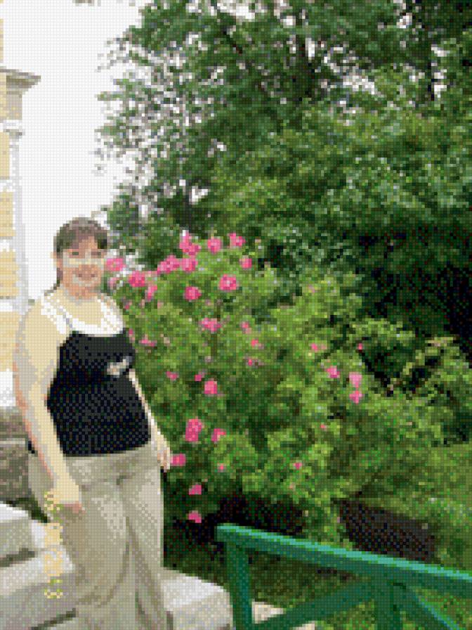 №902849 - предпросмотр