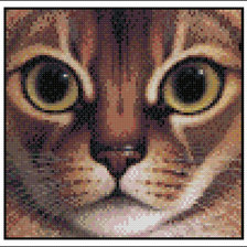 Схема вышивки «Кот 1»