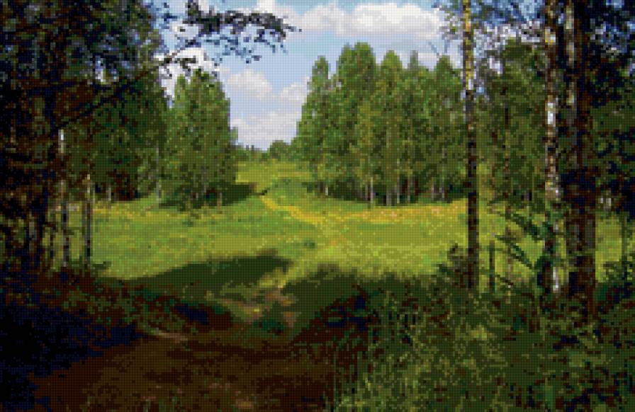 лесная тропинка - лес, поляна, природа, тропа, пейзаж - предпросмотр