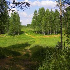 Схема вышивки «лесная тропинка»