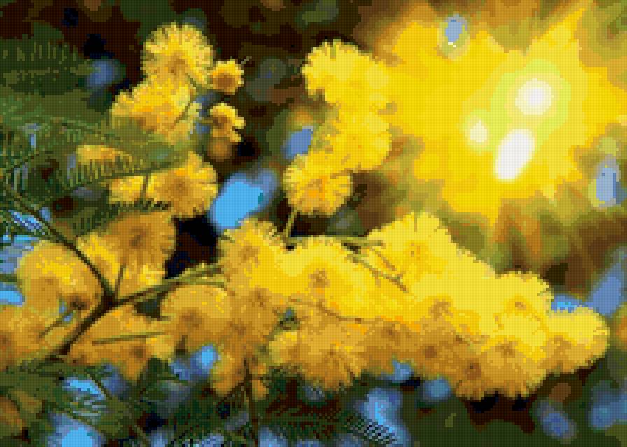 Верба в солнце - верба, солнце - предпросмотр