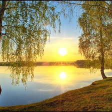 Схема вышивки «Березы в лучах солнца»