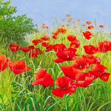 Схема вышивки «Маки»