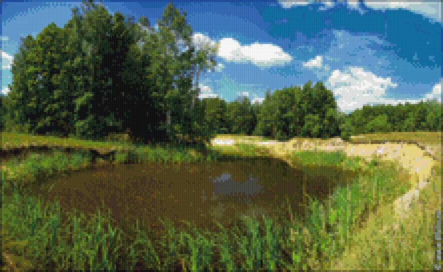 после сильного дождя - природа. пейзаж, лето - предпросмотр