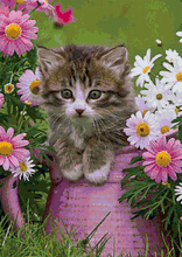 котенок в вазе - котята, животные, цветы, ваза - предпросмотр