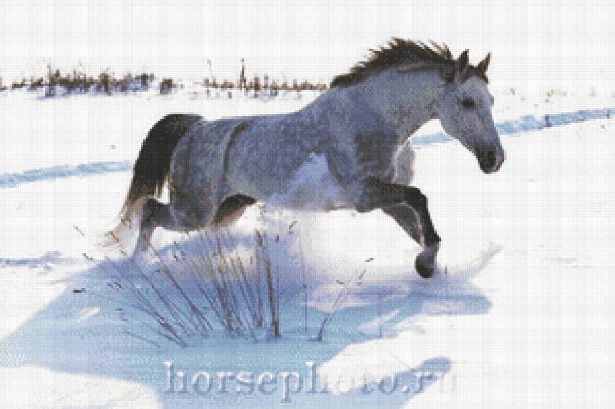 в снегу - животные, лошадь - предпросмотр