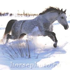 Схема вышивки «в снегу»