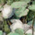 Предпросмотр схемы вышивки «ветка с розами» (№903148)