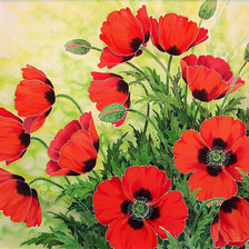 Схема вышивки «маки»