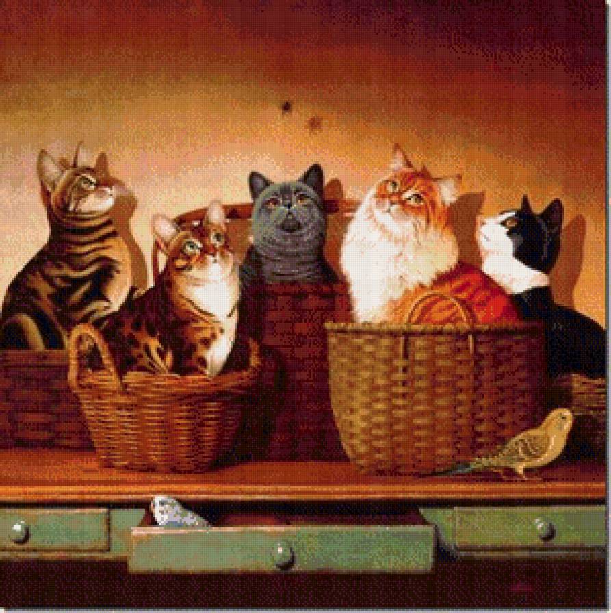 созерцание - кот, коты - предпросмотр