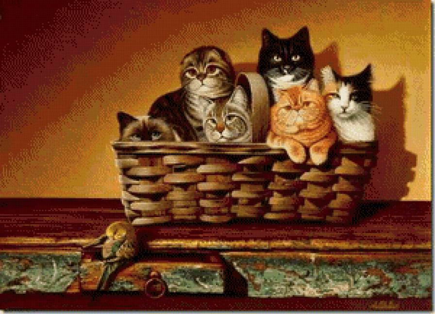 спрятались - кот, коты - предпросмотр