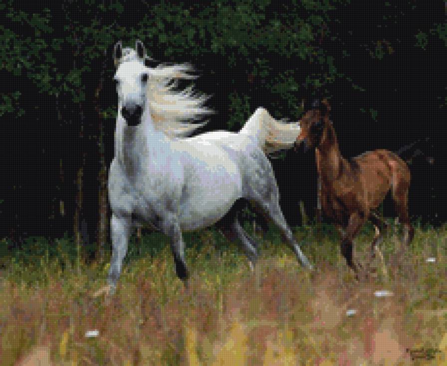 лошадь и жеребенок - природа, животные, лошади - предпросмотр