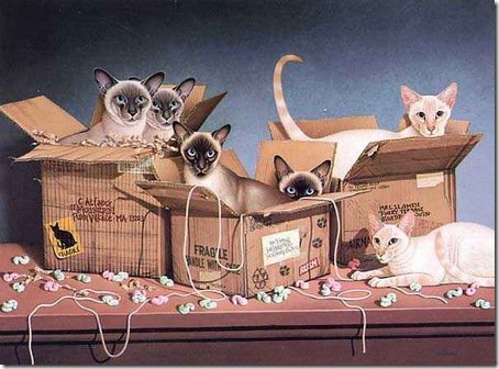 посылки - коты, кот - оригинал