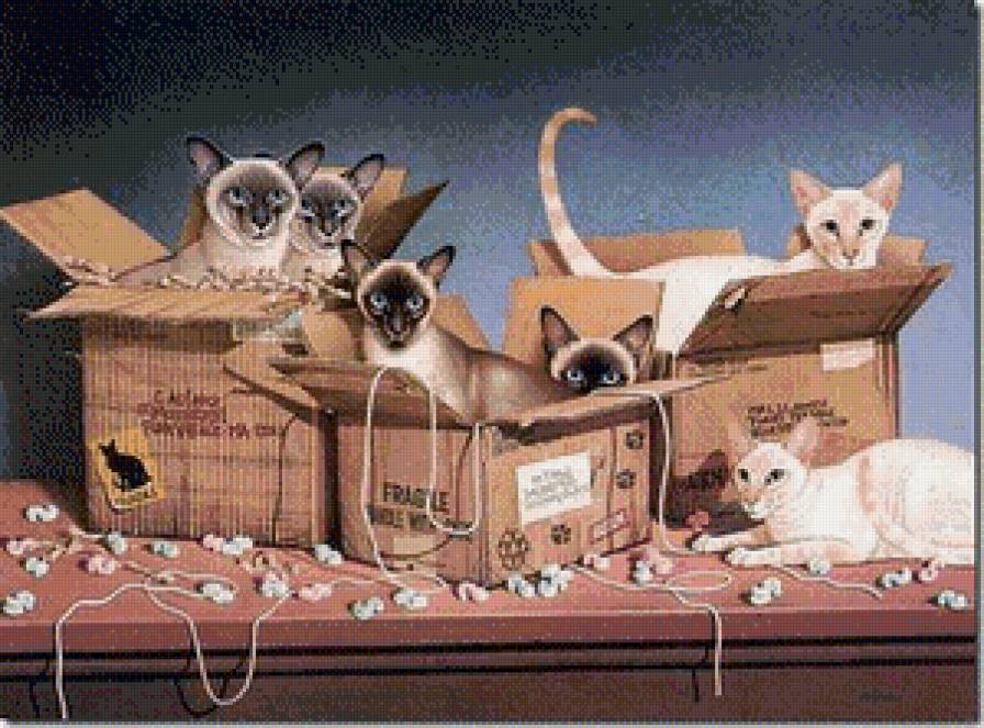 посылки - коты, кот - предпросмотр