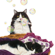 сладкая парочка