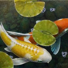 пара карпов