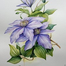 Схема вышивки «клематисы»