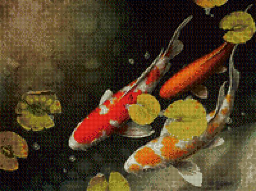 карпы - япония рыба - предпросмотр