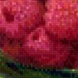 Предпросмотр схемы вышивки «малина» (№903503)
