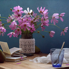 Схема вышивки «космея»