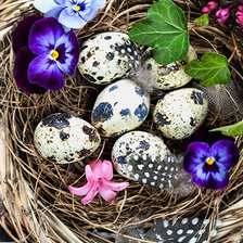 Схема вышивки «Пасхальный мотив»