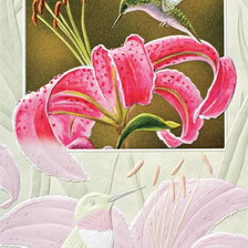 Схема вышивки «лилия»