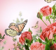 Схема вышивки «розы»