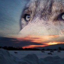 Схема вышивки «№903962»