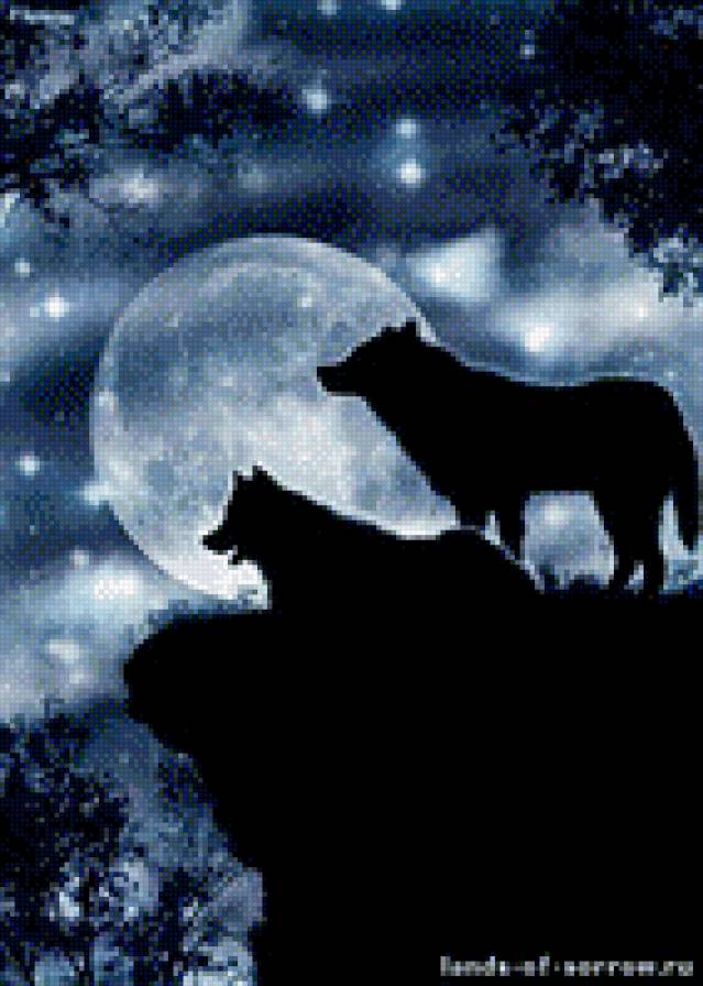 №903963 - предпросмотр