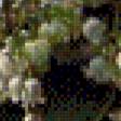 Предпросмотр схемы вышивки «ландыши» (№904009)