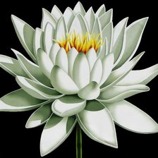 Схема вышивки «Лотос»