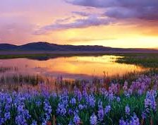 Схема вышивки «озеро»