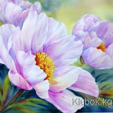 Схема вышивки «чудо»